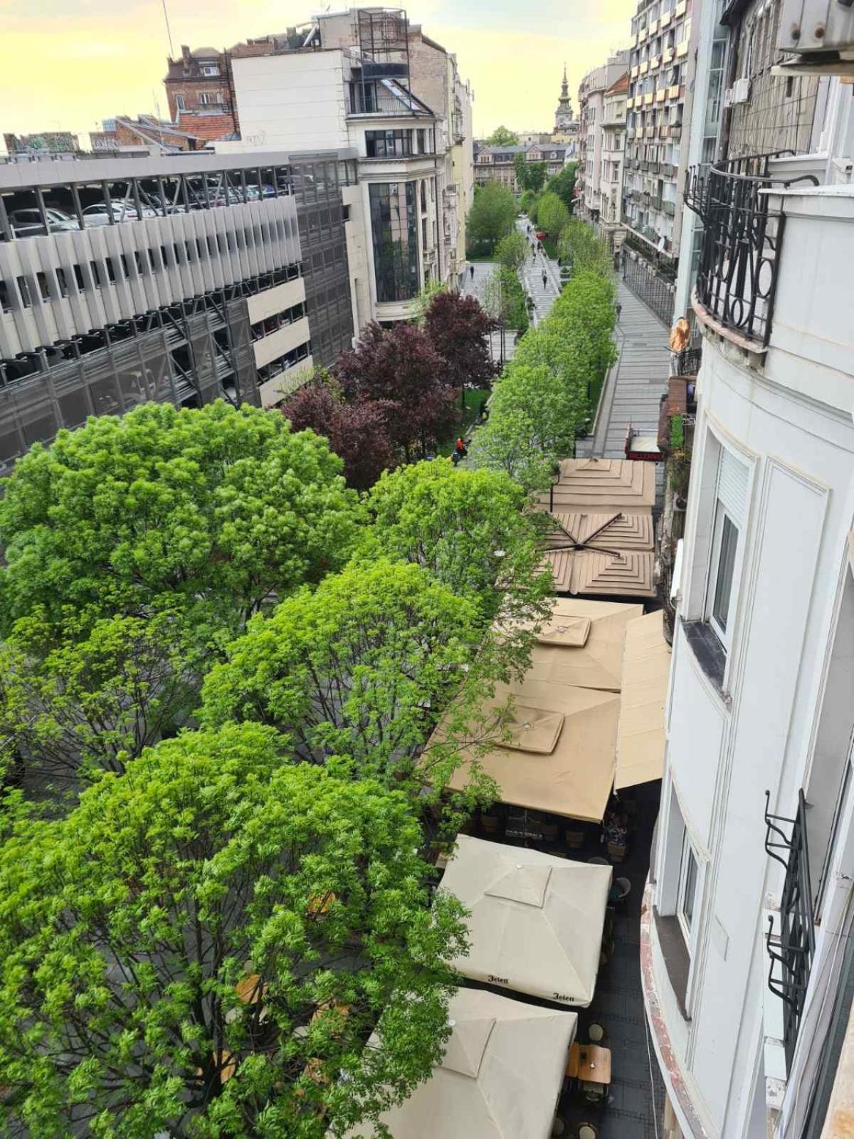 City Center Apartment Belgrad Exteriör bild